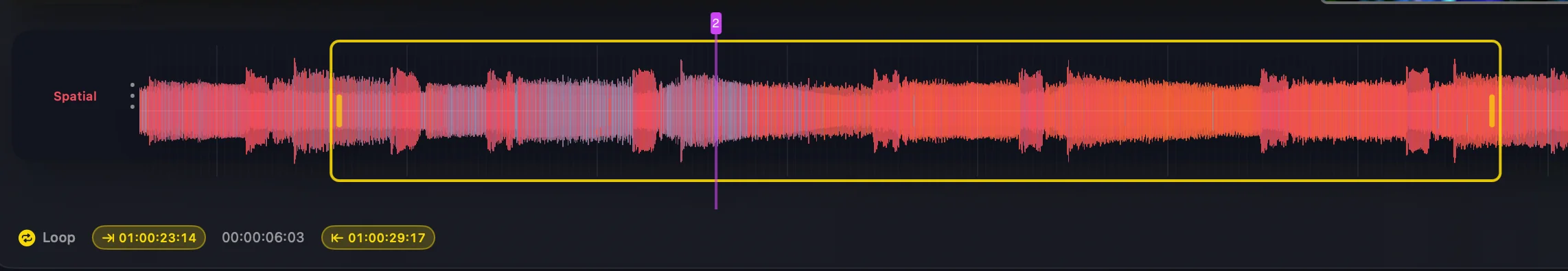 Loop region with start/end timecodes highlighted on the spatial waveform